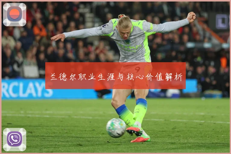 兰德尔职业生涯与核心价值解析
